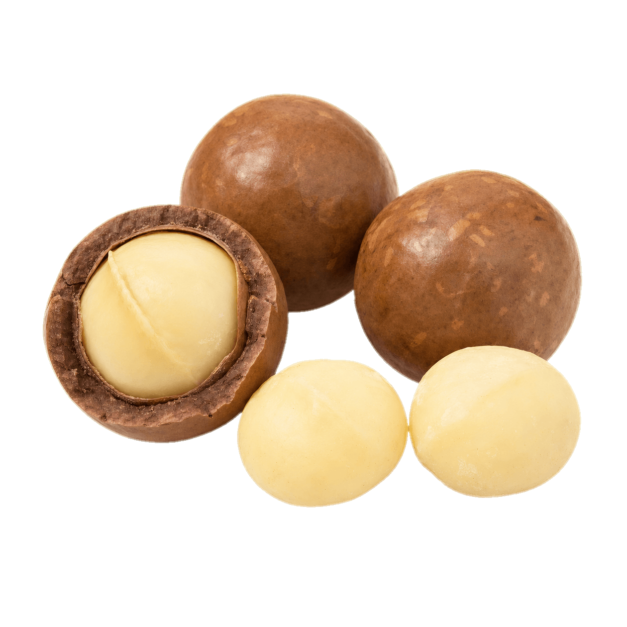 Macadâmia